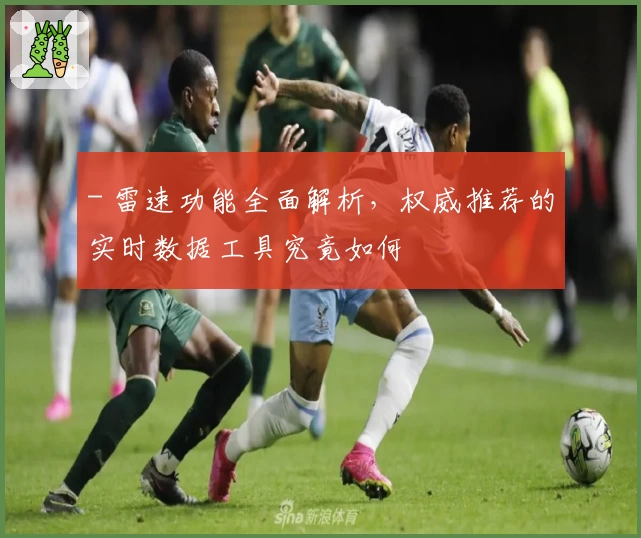 - 雷速功能全面解析，权威推荐的实时数据工具究竟如何
